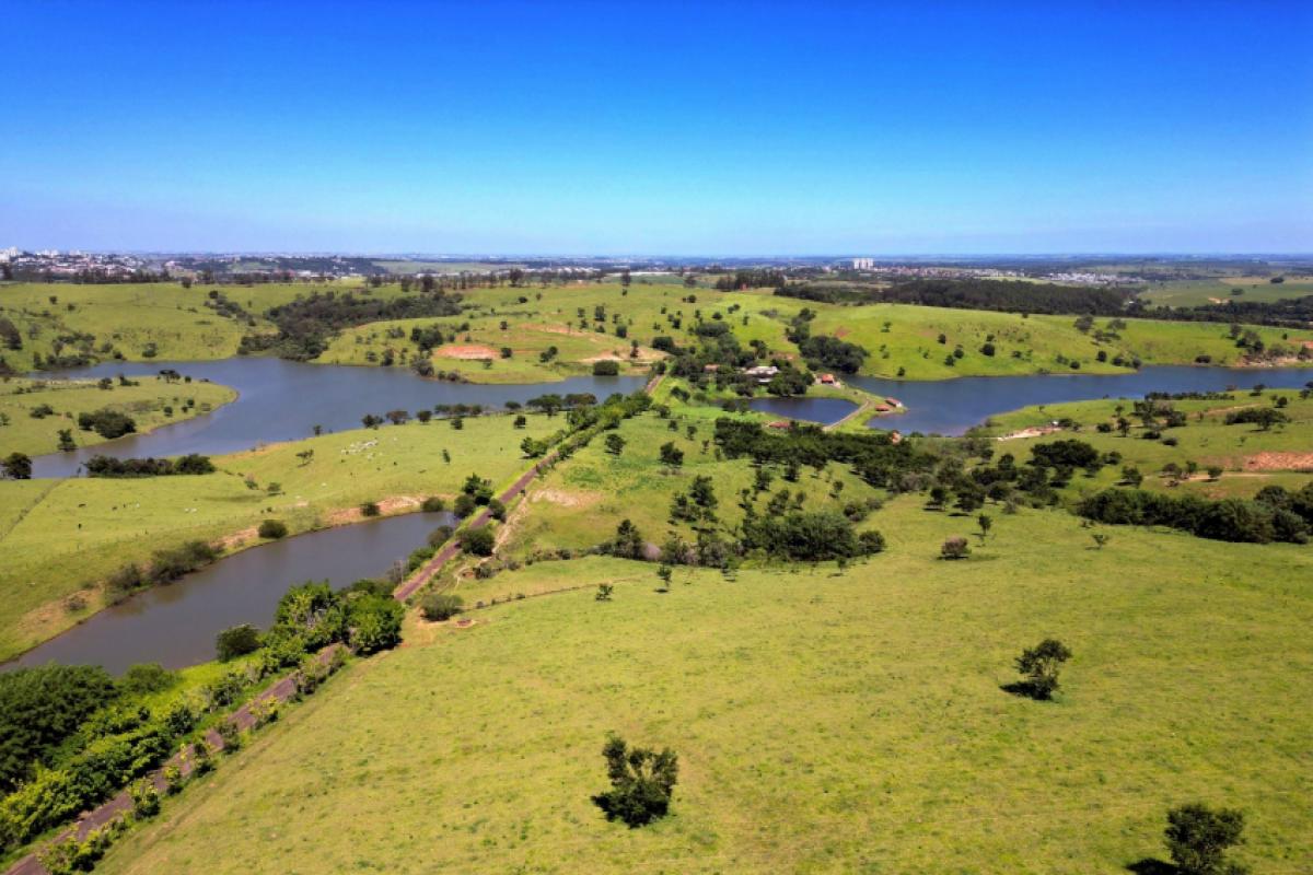 Ações cresceram 23,3% em relação a 2024; maus-tratos, queimadas e irregularidades lideram ocorrências.