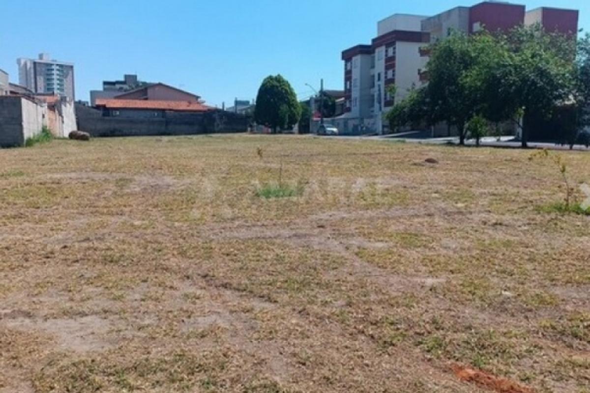 São 12 imóveis no Portal da Mantiqueira, um no Cataguá e três no Esplanada Independência