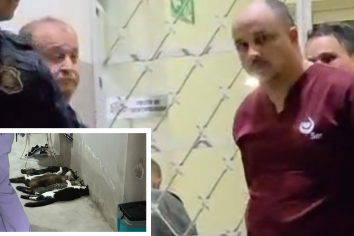 Estudante de veterinária Cleiton Fernando Torres, de 37 anos, acusado de participar de um esquema clandestino de coleta e venda de sangue de gatos em Monte Alto