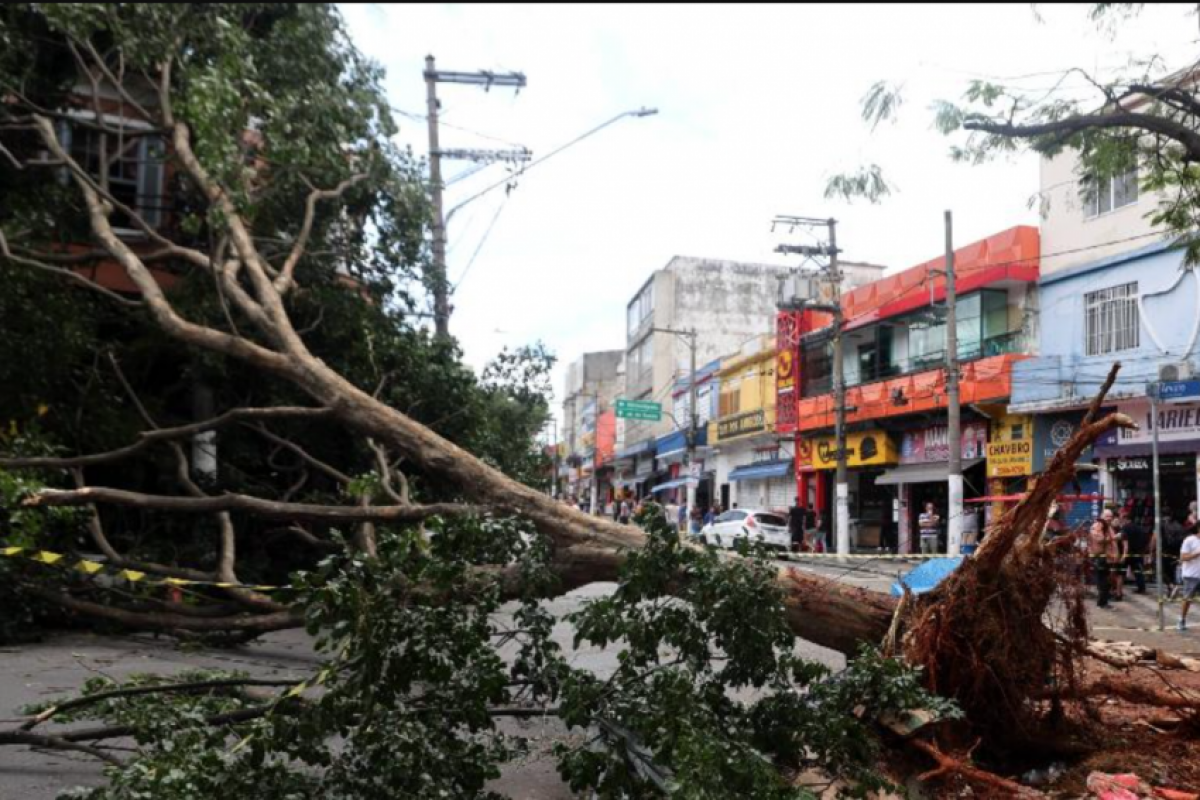 Os semáforos também estão apagados, e não há funcionários da CET para organizar o trânsito.