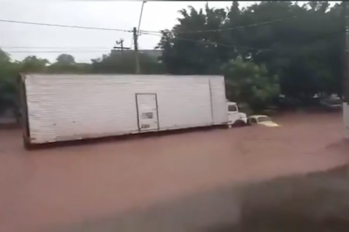 A forte chuva que atingiu o estado durante toda a terça-feira causou alagamentos e queda de árvores. 
