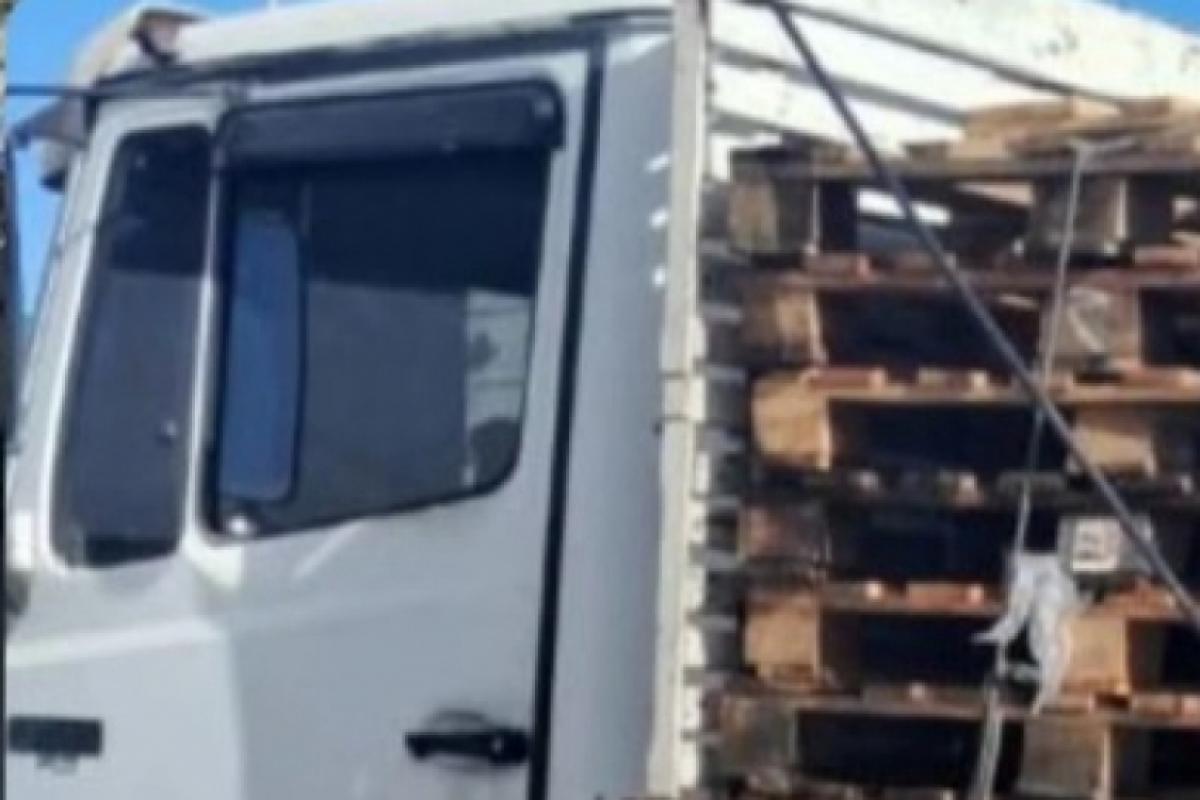 Homem foi encontrado morto em caminhão