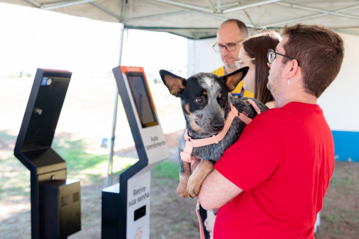 Castração ocorre desde quinta (4)