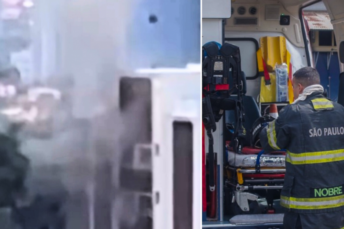 Os gatos morreram presos no apartamento em chamas em Piracicaba. 