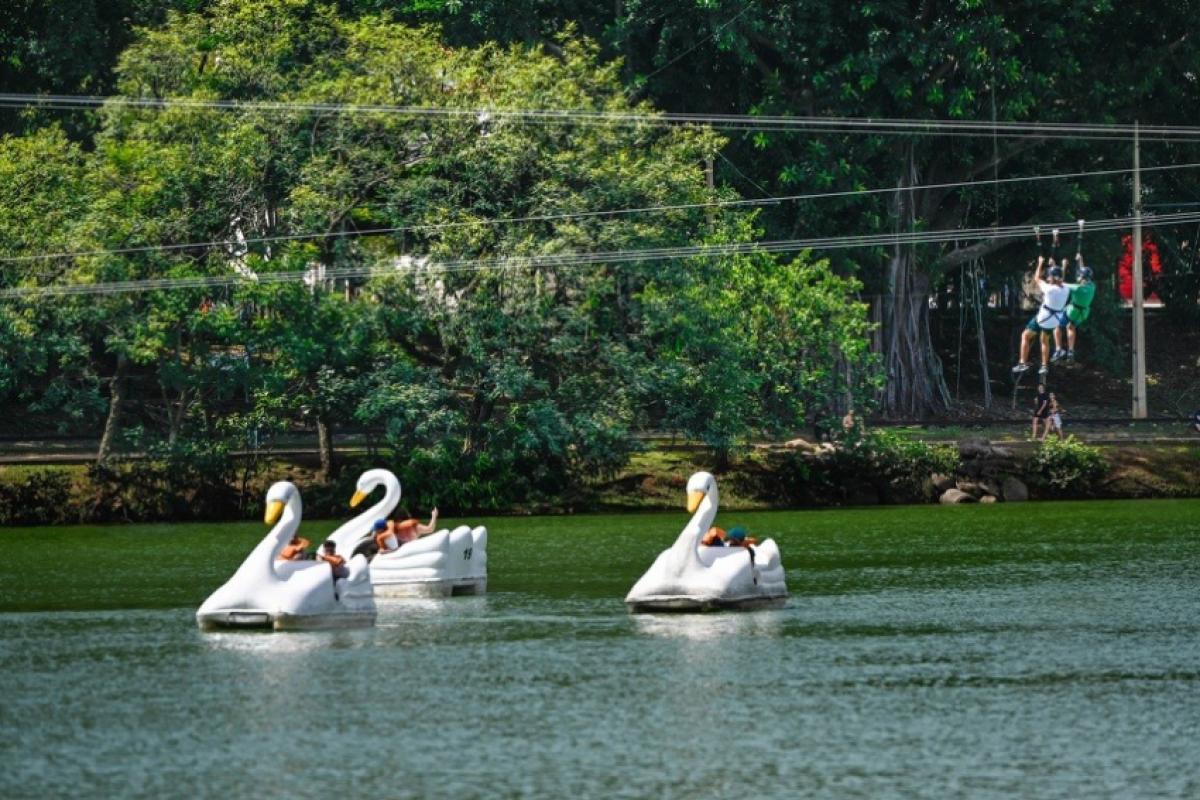 Redução do volume de chuvas permitiu a reabertura dos 25 parques, bosques e da Mata de Santa Genebra nesta sexta-feira.