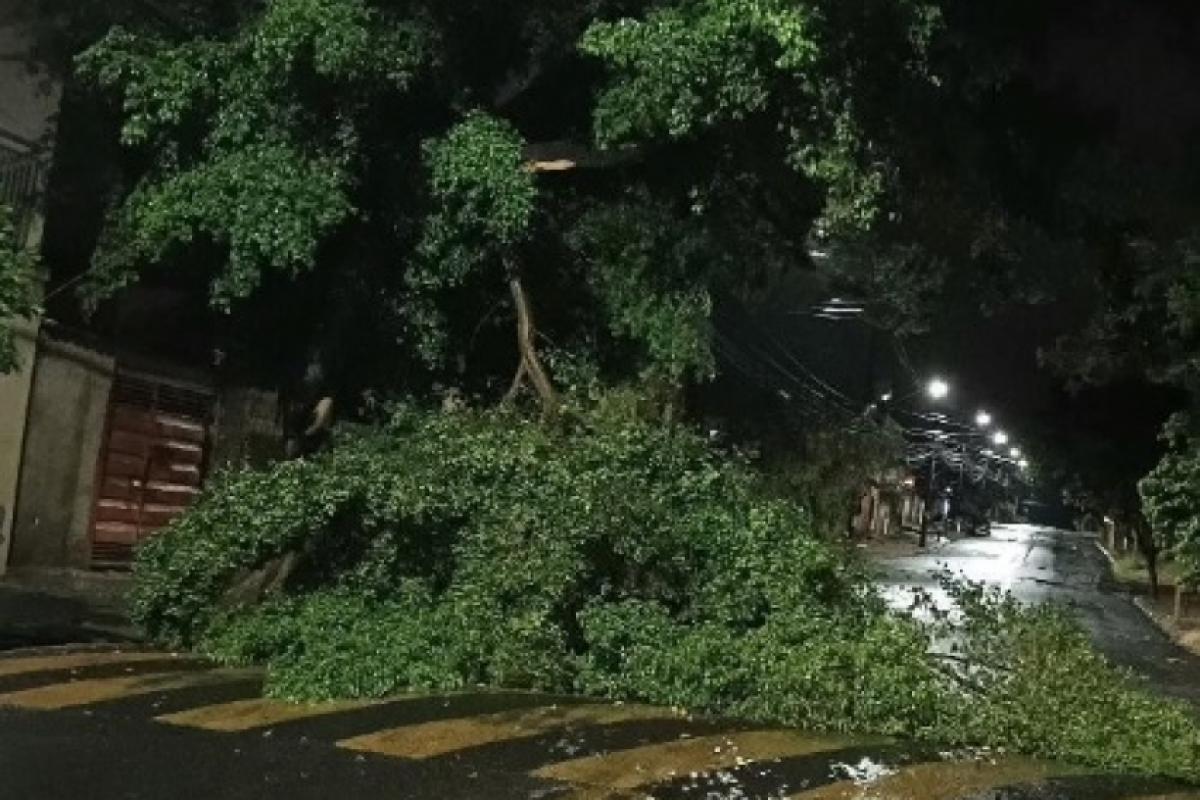 Queda na avenida das Bandeiras