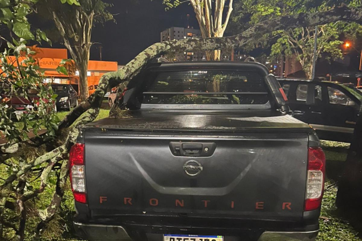 Galho caído em caminhonete no Poliesportivo