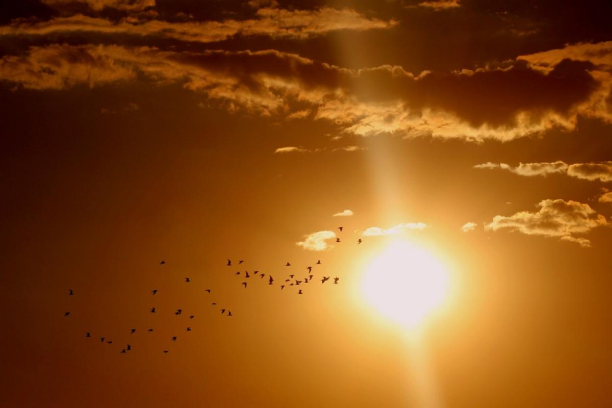Qual a previsão do tempo para Campos no fim de semana? Confira