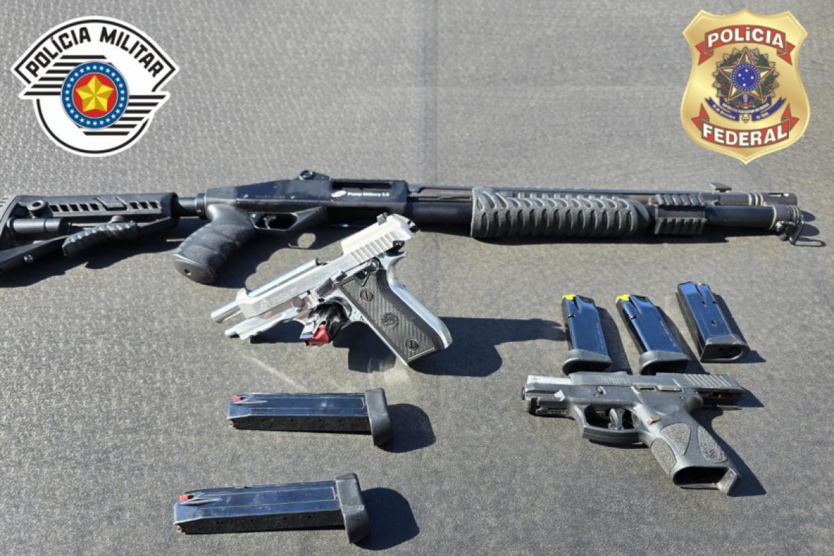 Apreensões em Roseira