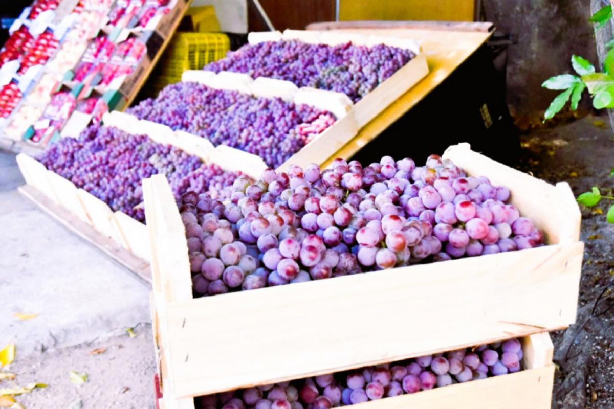 Com a chegada das festas de Natal e Ano Novo, o consumo de uva cresce significativamente
