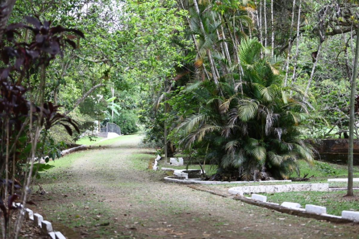 Consulta é para receber sugestão sobre a concessão do parque de São José dos Campos, que está fechado desde 2020