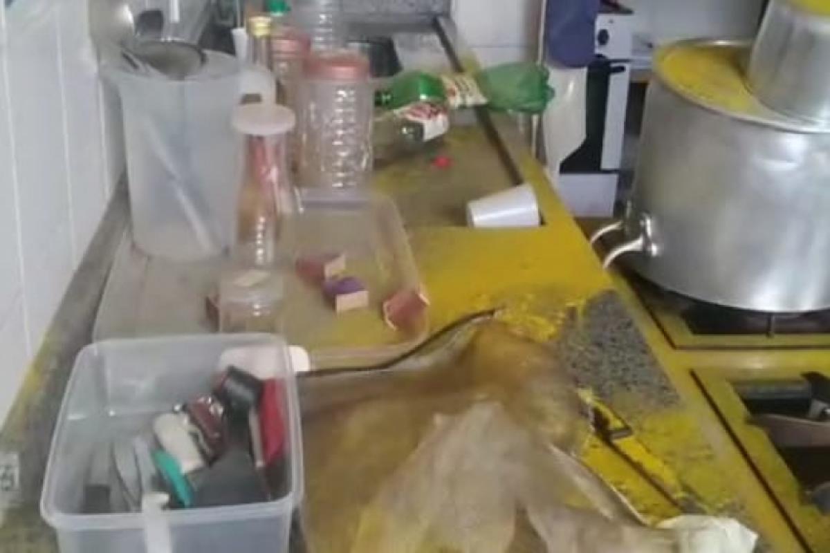 Cozinha, banheiro e lavanderia foram vandalizados 