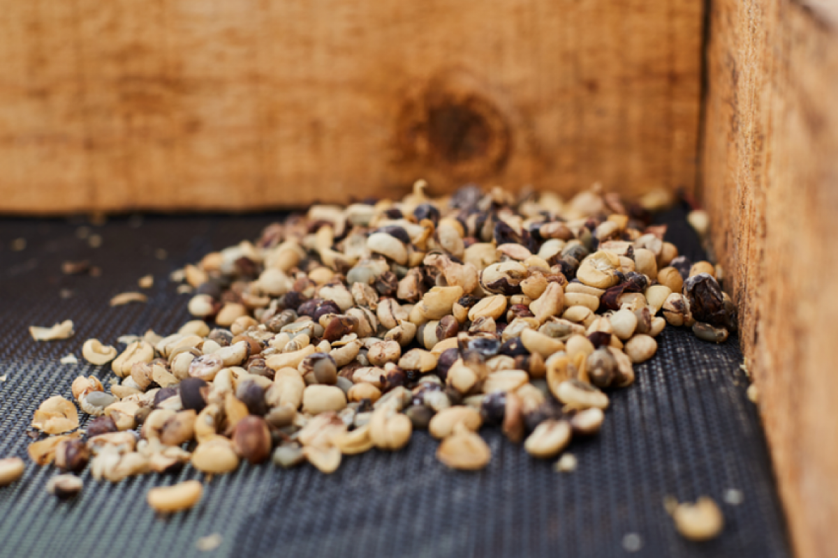 O ministério orienta que consumidores que tenham adquirido os cafés listados interrompam o consumo.