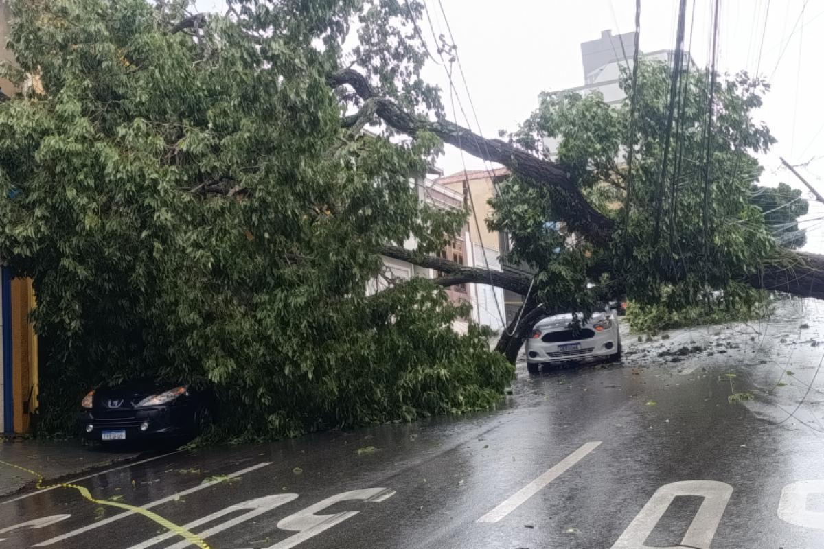 A queda causou estragos na Vila Rezende. 