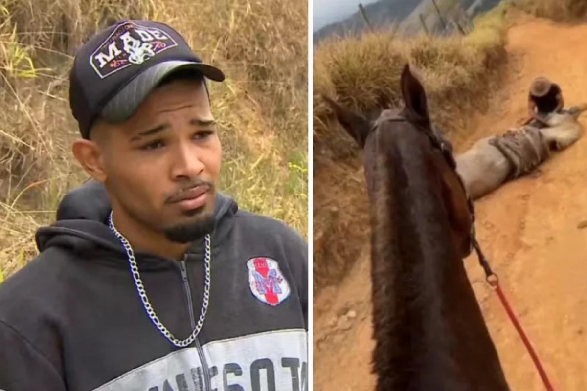 Jovem foi condenado por ter cortado patas do cavalo