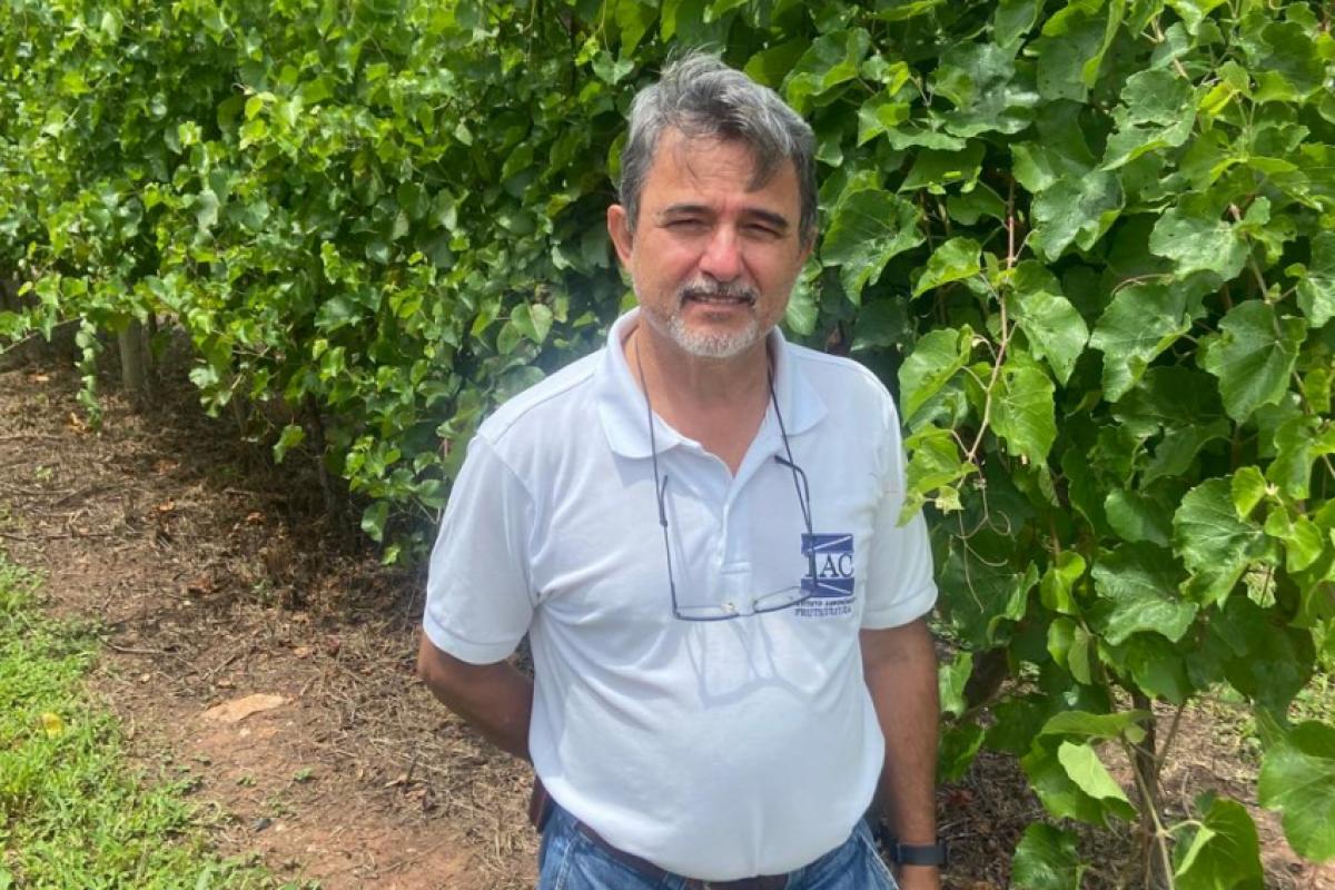 O biólogo José Luiz Hernandes é um dos responsáveis pela evolução da uva na região