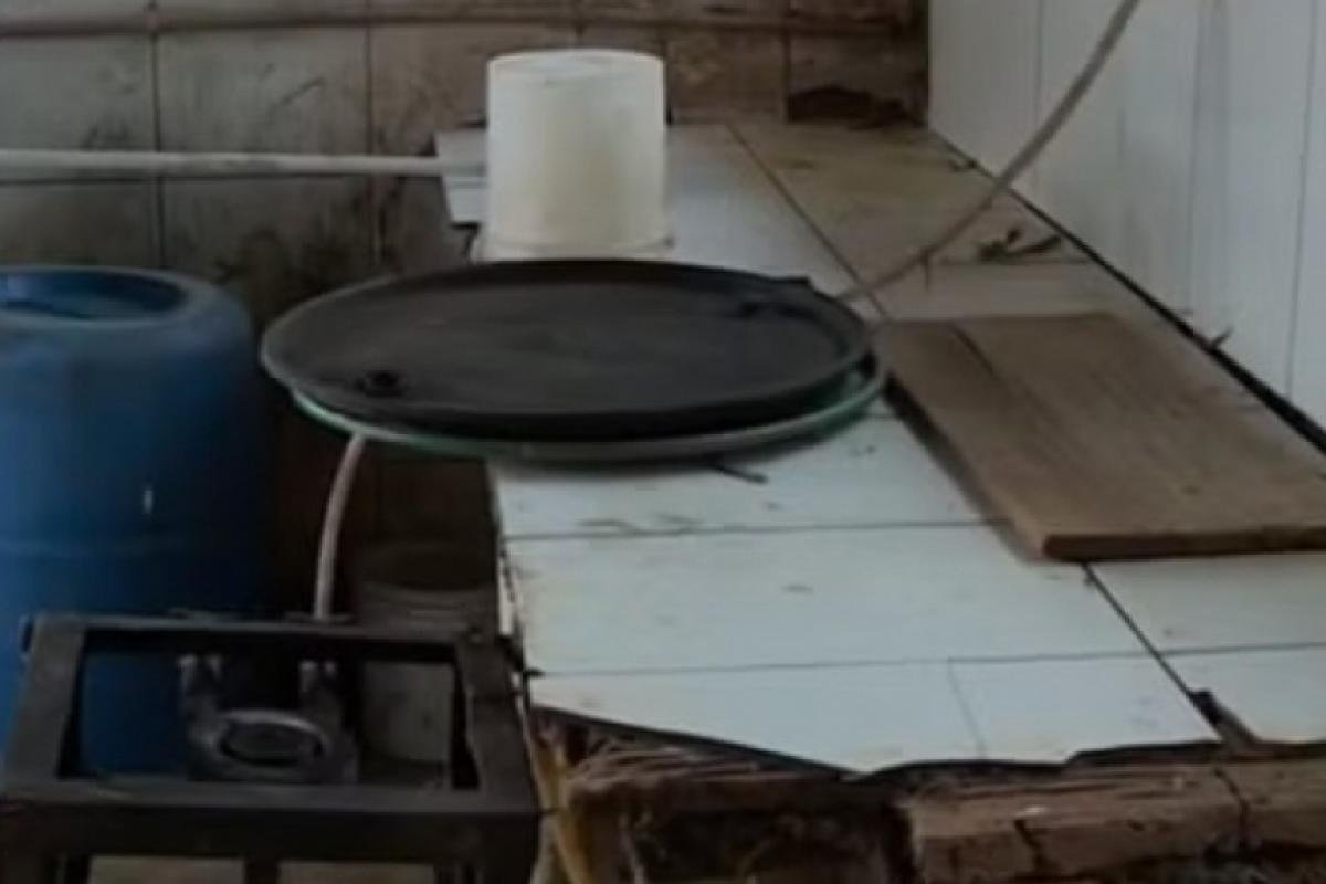 DIG de Americana flagrou aves processadas em local com higiene precária e presença de urubus. Estabelecimento passará por perícia oficial e inspeção do MAPA.