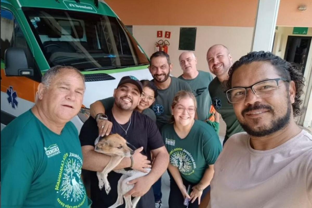 Bisteca com seus tutores