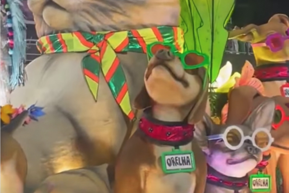 Cães com óculos escuros, no estilo da cantora, foram adornados por coleiras com o nome de Orelha.