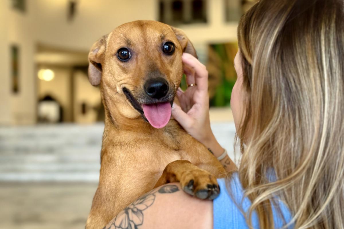 Em Bauru, os cemitérios municipais e privados aguardam o decreto da prefeita Suéllen Rosim (PSD), que regulamentará a aplicação da lei