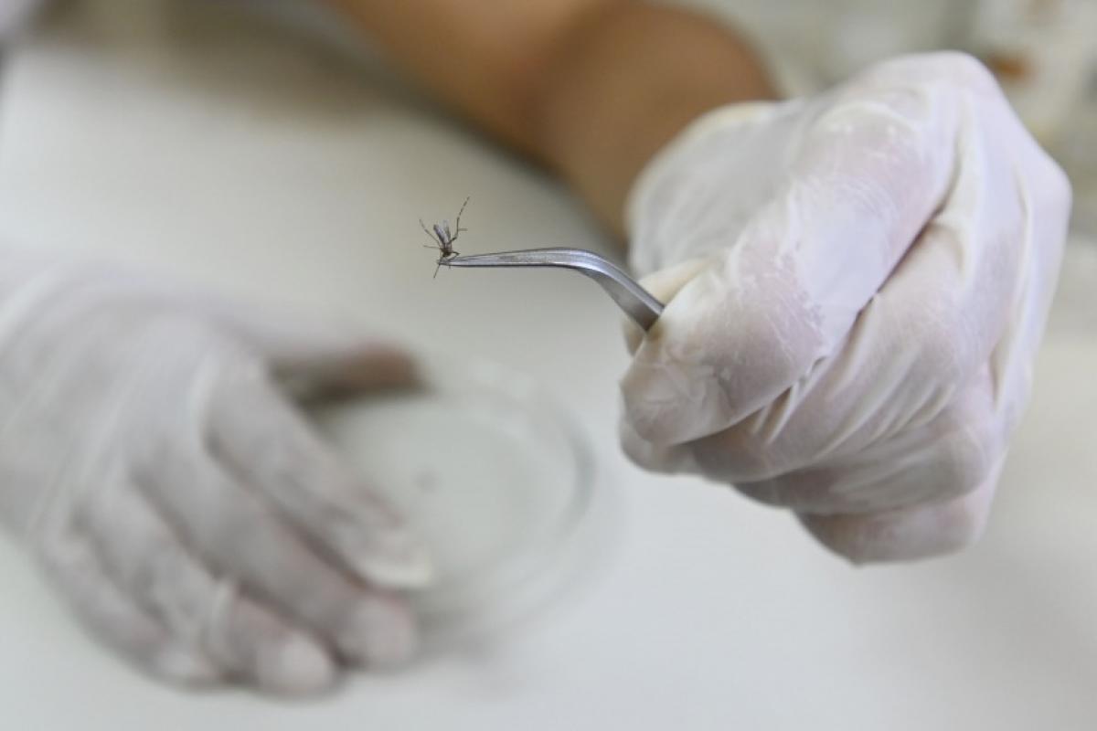 Cidade soma 249 confirmações e coloca 17 bairros em alto risco, com reforço nas ações contra o Aedes aegypti.