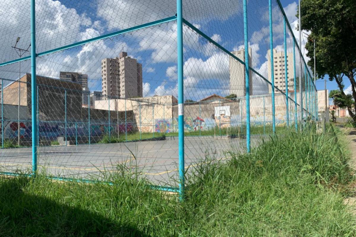 Os moradores afirmam que a vegetação sem manutenção também favorece o aparecimento de animais peçonhentos, gerando preocupação entre quem frequenta a área