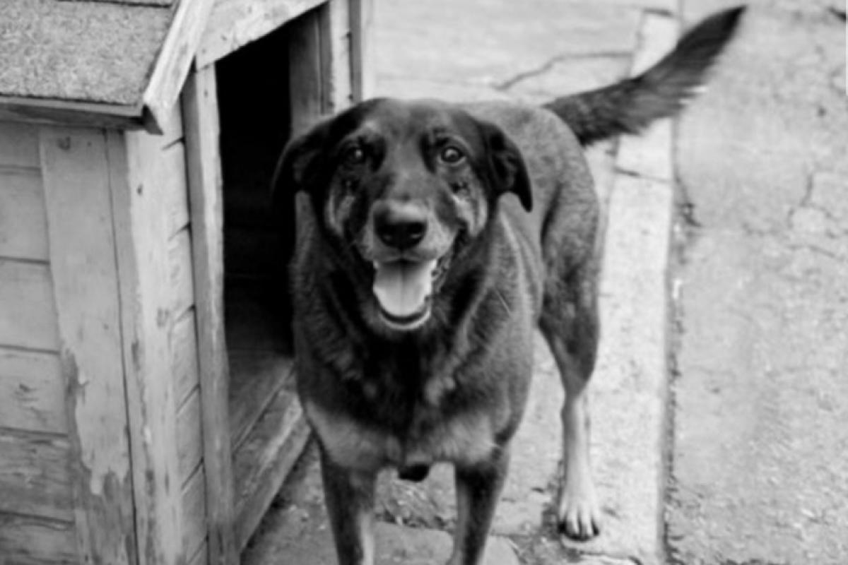 A 10ª Promotoria de Justiça apontou lacunas na apuração da participação dos adolescentes considerados suspeitos da agressão.