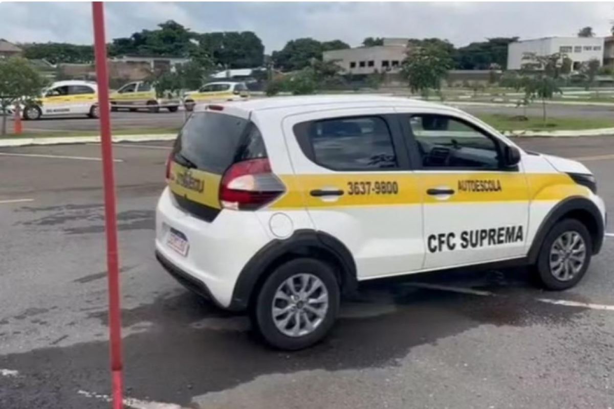 Os três estados mais populosos do país são aqueles onde mais foram emitidas carteiras de motoristas. 