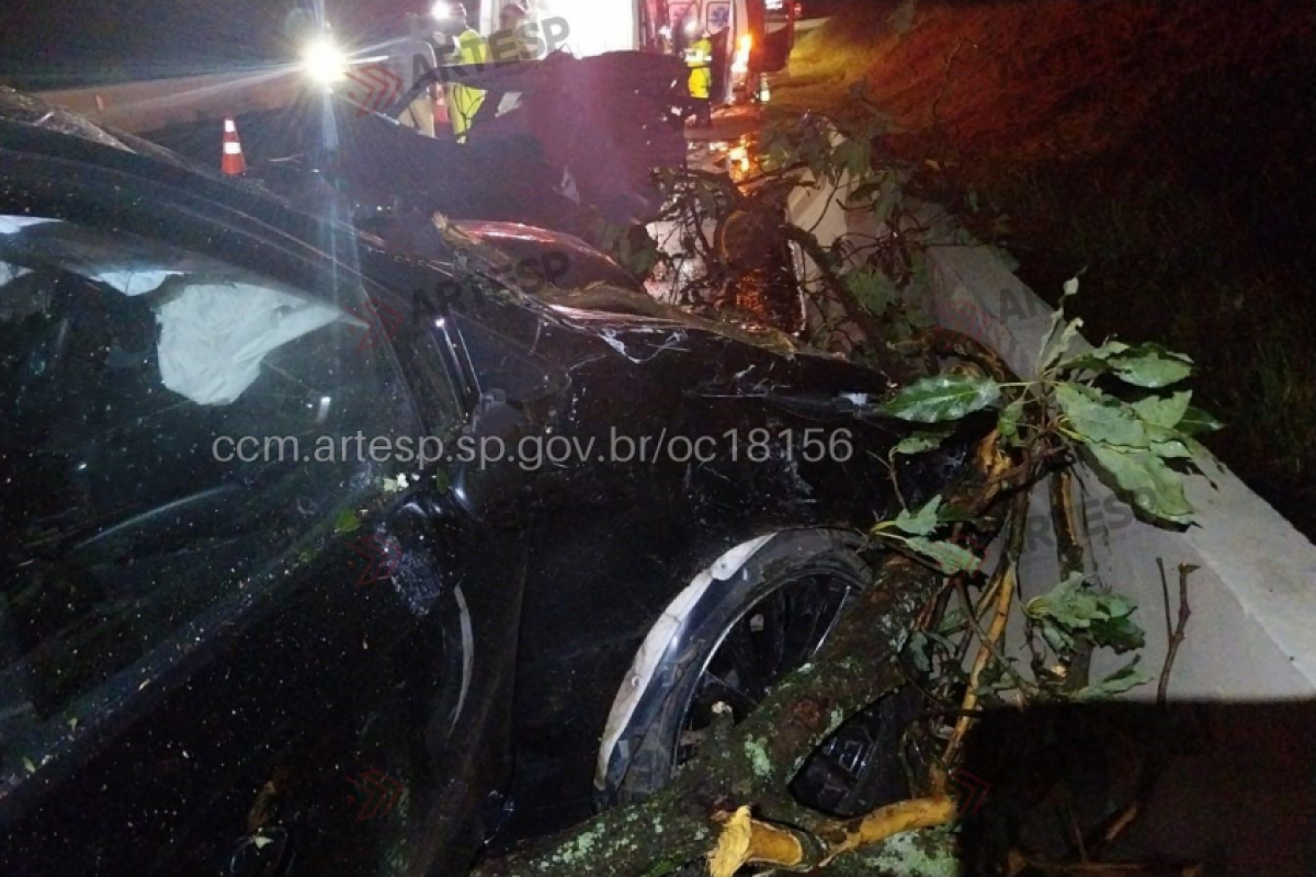 Colisão envolvendo dois carros e uma árvore resultou na morte de Luís Paulo de Souza, de 76 anos