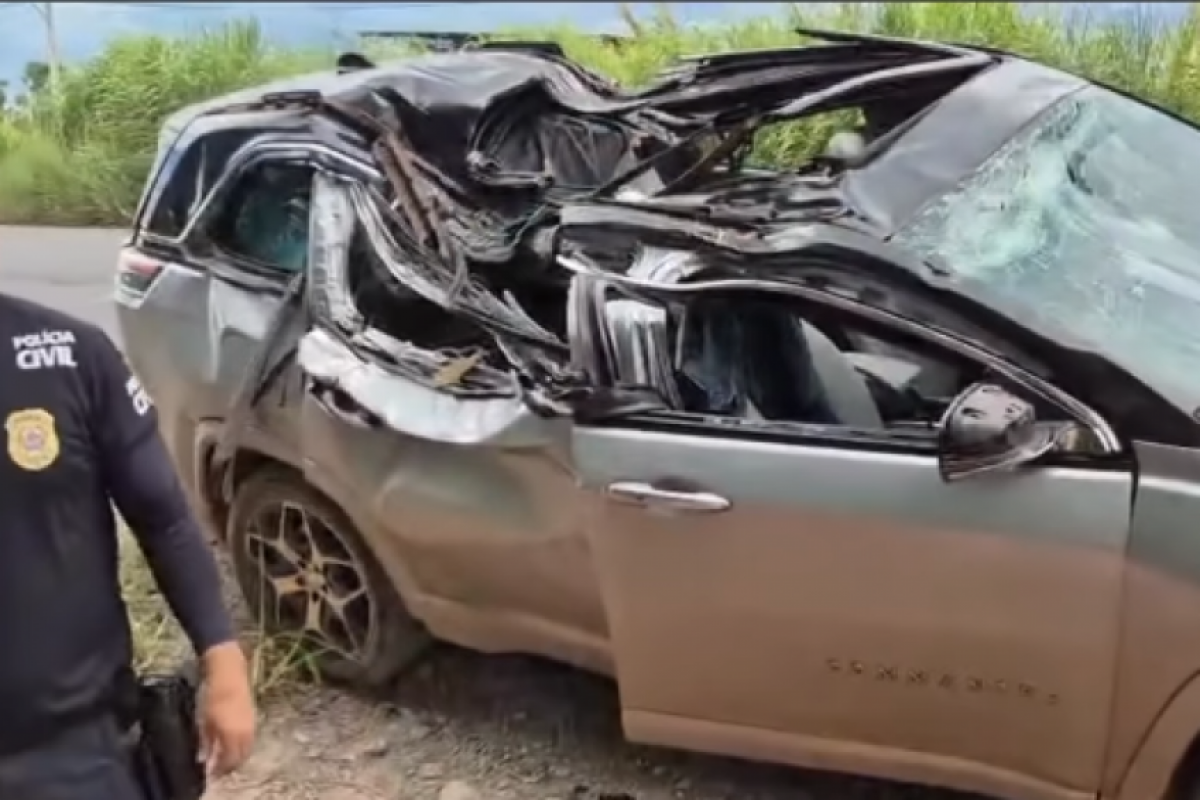 Árvore atingiu a cadeirinha onde a menina estava.