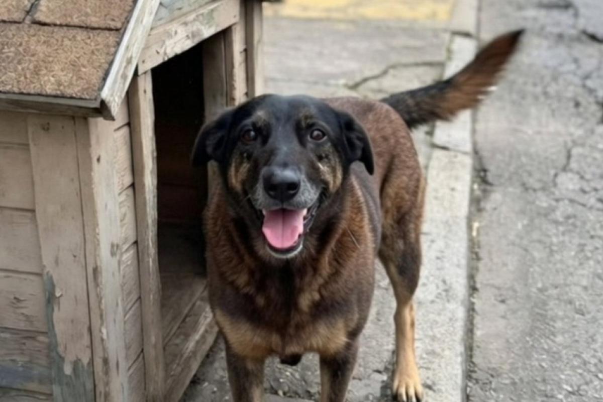 A medida tem como objetivo impedir que o jovem deixe o país.