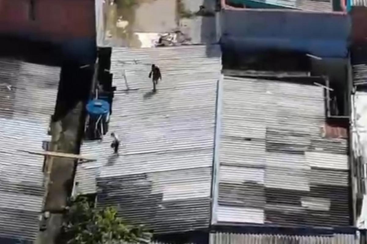 Imagem foi registrada por drone