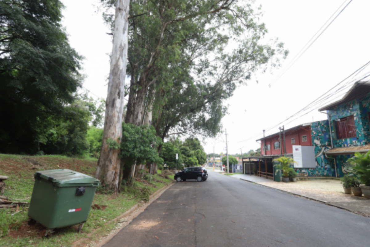Chuvas levam Prefeitura de Campinas a suspender manejo de eucaliptos e bloqueio na Albino Barbosa de Oliveira.