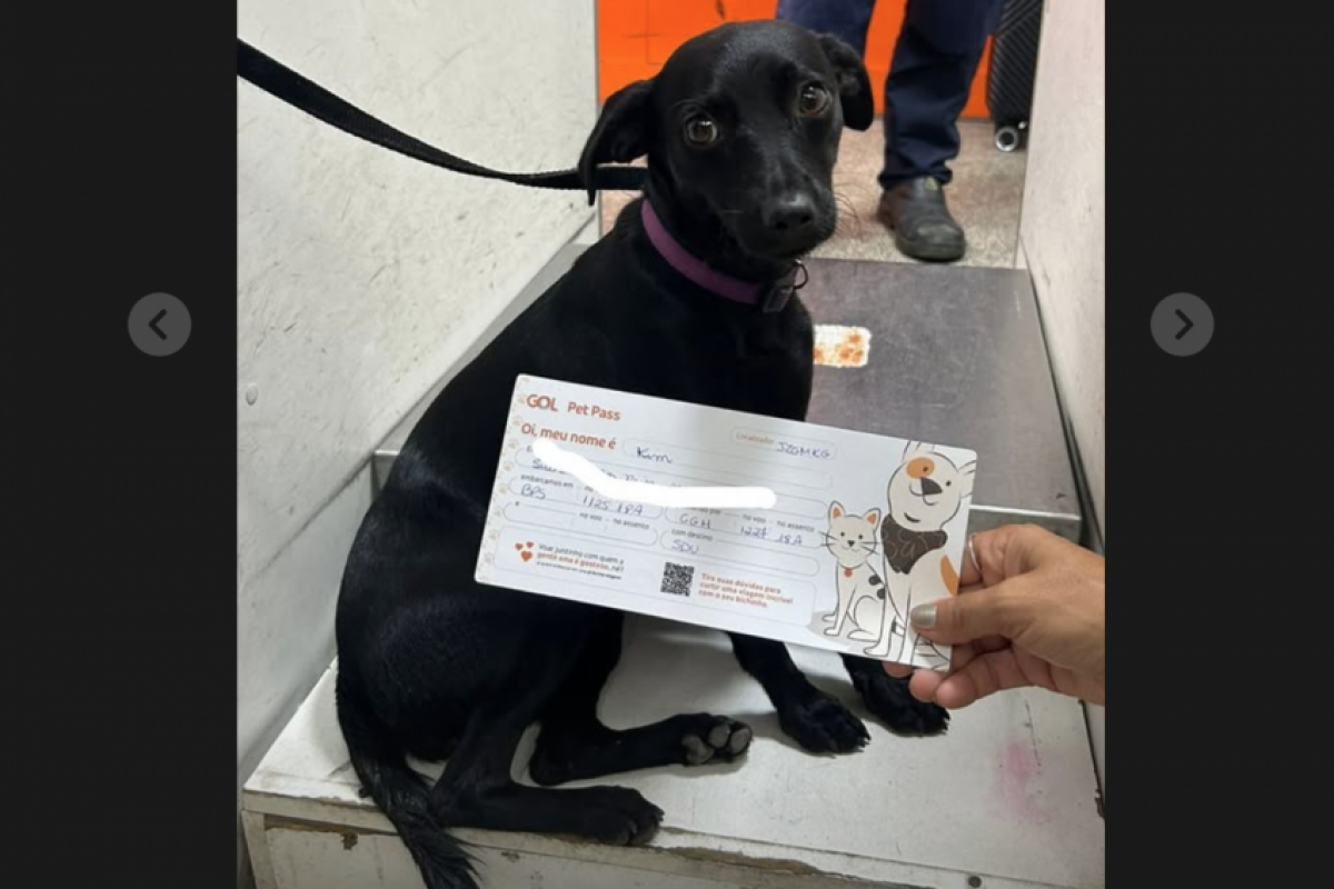 De acordo com a concessionária Aena, as operações ficaram suspensas por nove minutos.