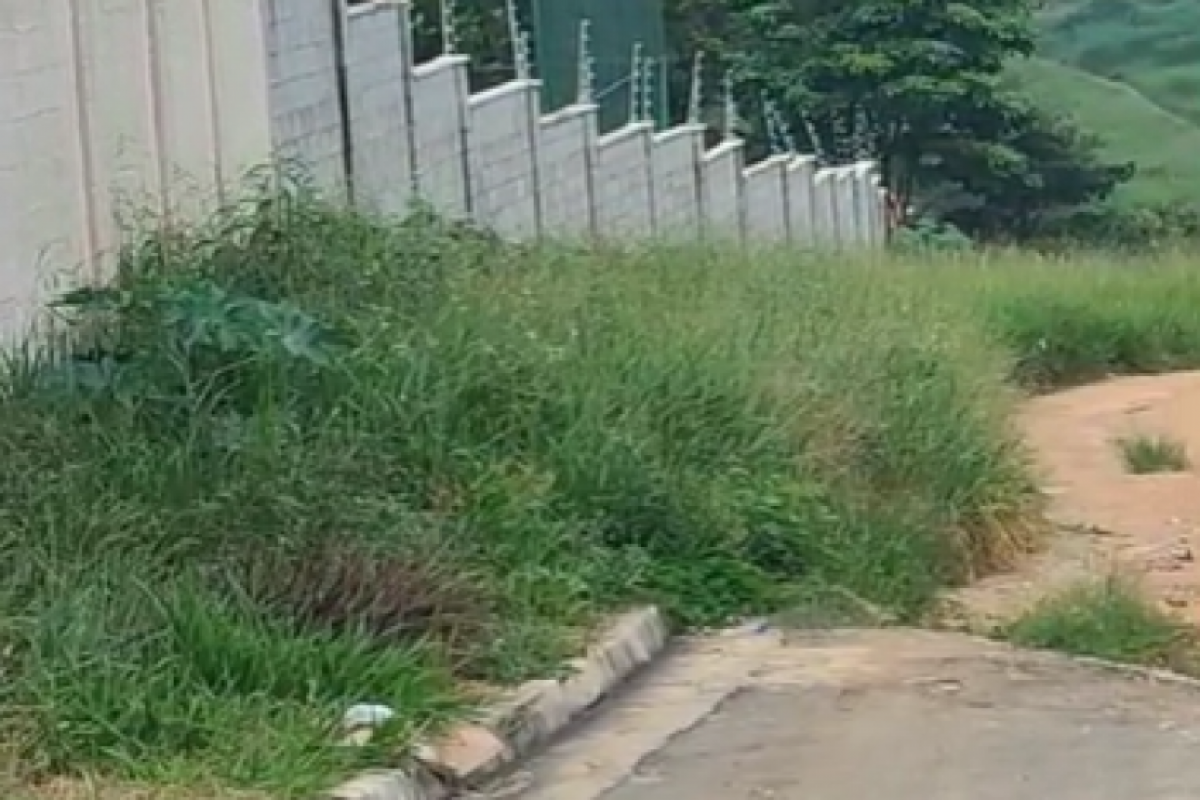 Calçada da  avenida das Oliveiras, São José dos Campos