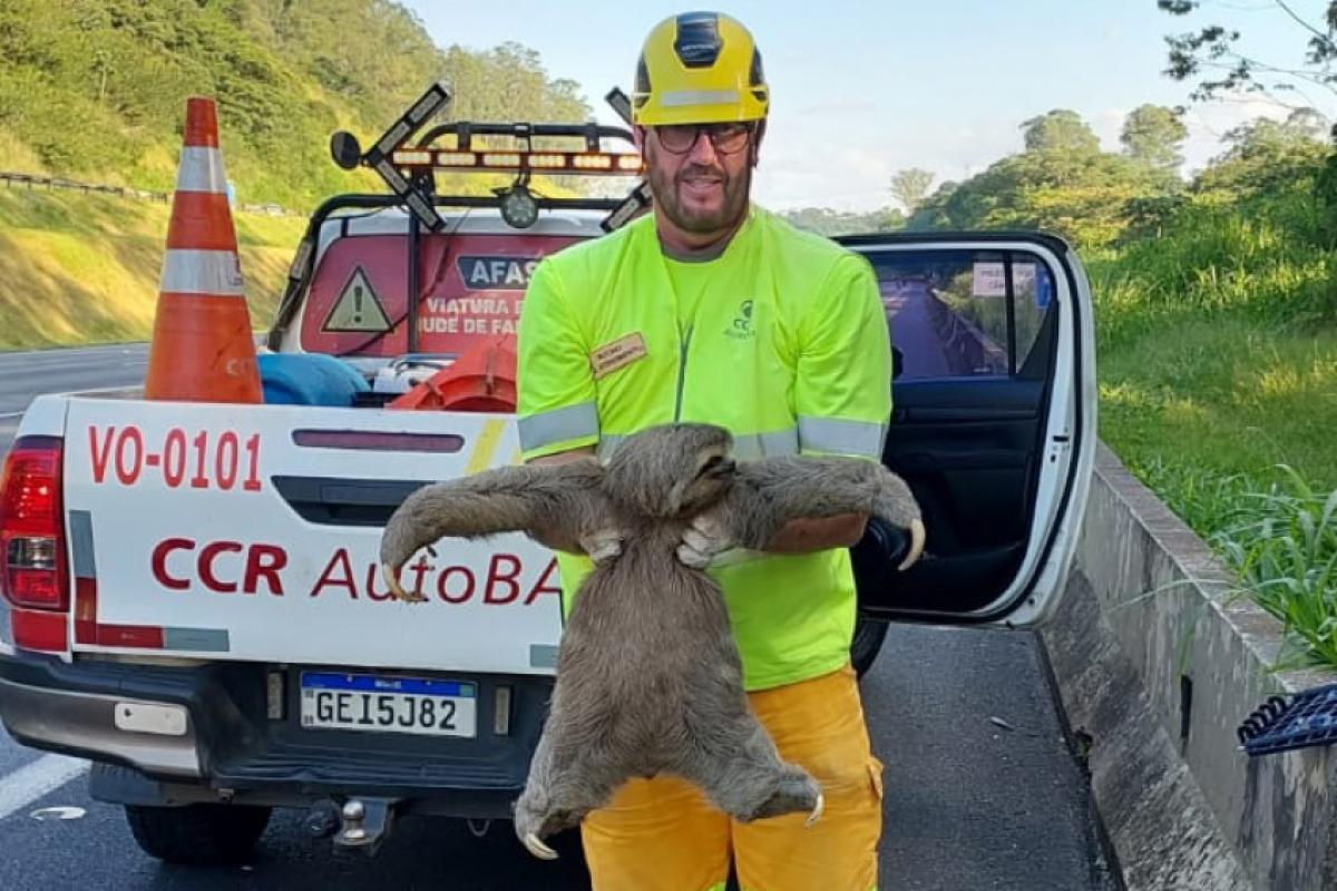 Jailson dos Santos Cavalcante fez o resgate do bicho-preguiça