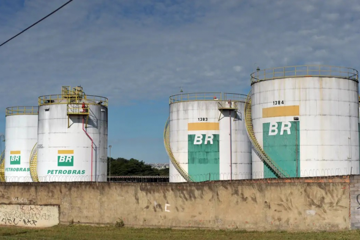 Para especialista, a empresa era estratégica para administrar preços