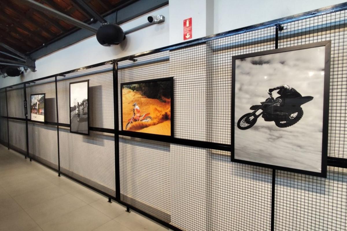 Fotografias transformam movimentos do esporte em arte no Centro das Artes