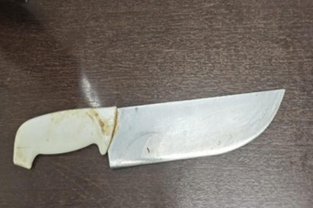 Arma do crime foi apreendida 