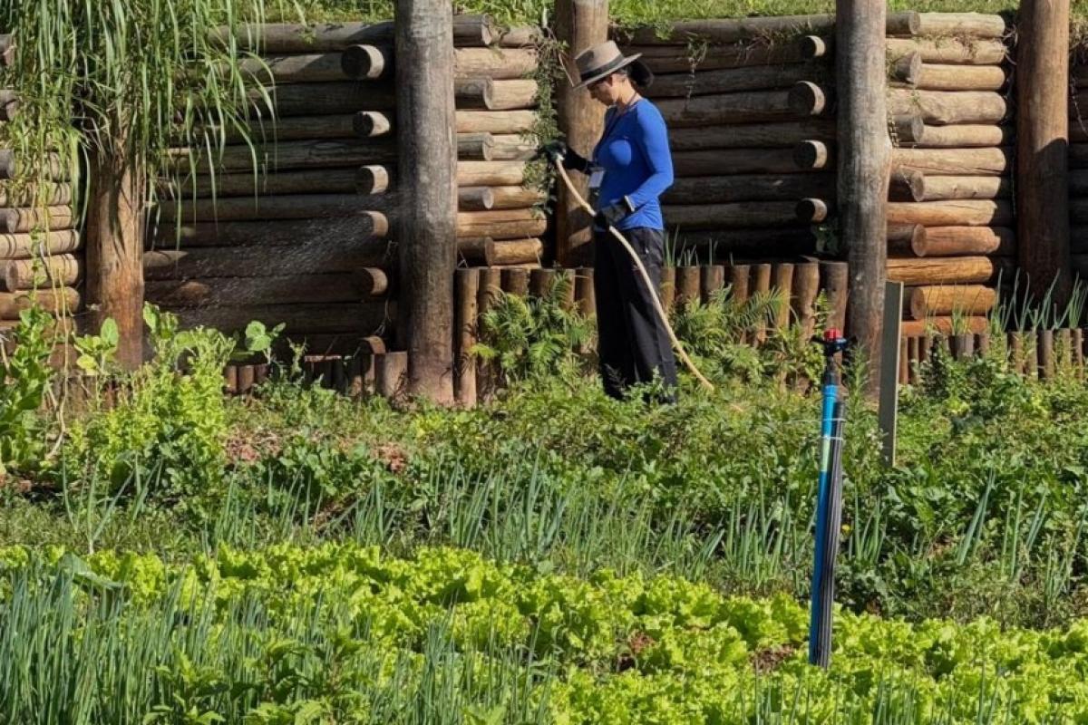 Inscrições seguem até 6 de maio; aulas começam dia 13