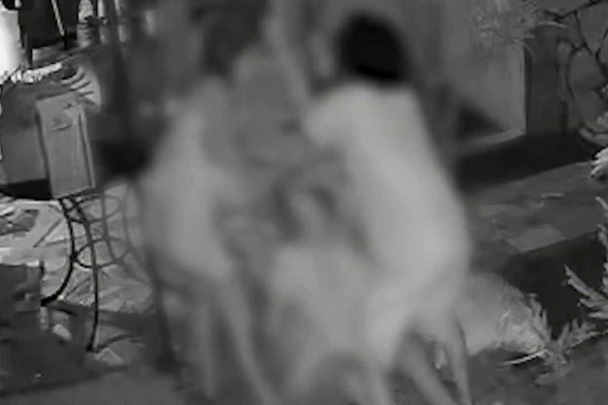 Maria Luiza Lemos Azevedo foi presa em flagrante após o ataque, mas obteve liberdade provisória concedida pela Justiça nesta semana.