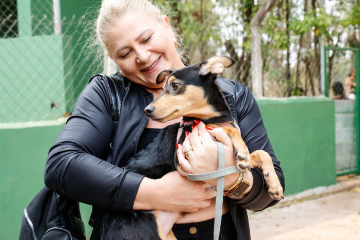 Durante o Abril Laranja, a Prefeitura de Jundiaí reforça os serviços de proteção, fiscalização e cuidado com os animais