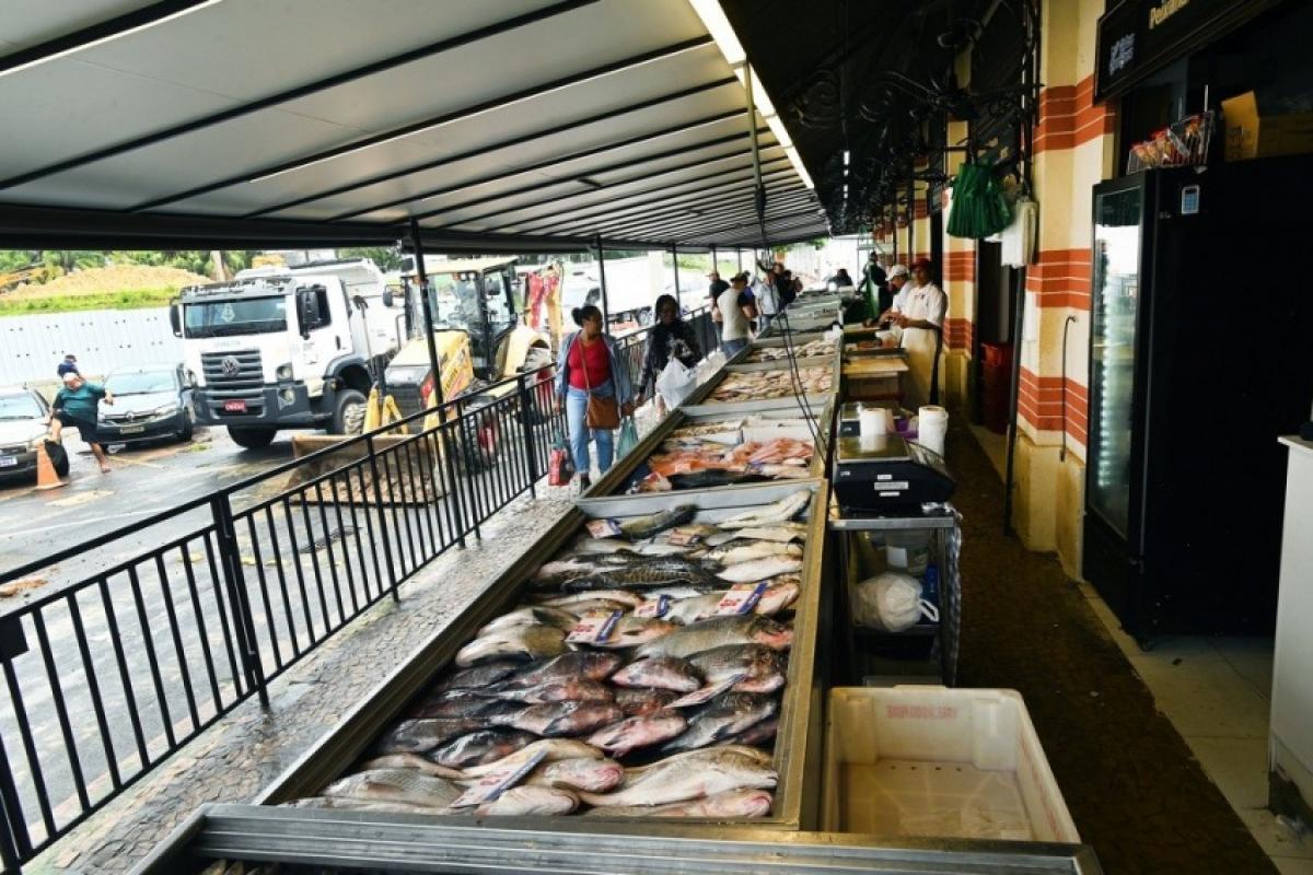 Venda de peixes cresce 50% no Mercadão de Campinas, impulsionada pela Quaresma e pela tradição da Semana Santa.