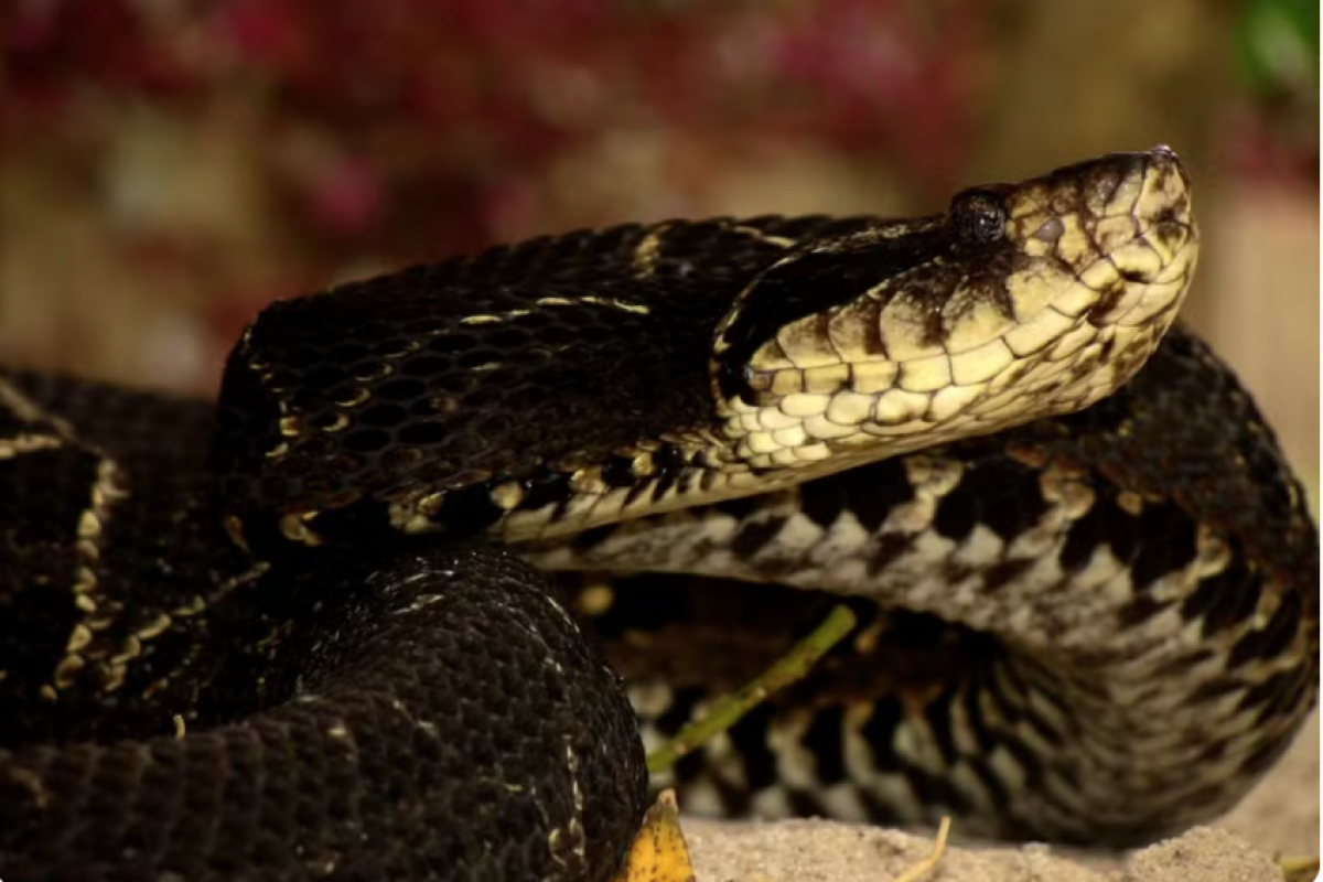 O erro na identificação começou no primeiro atendimento, na Santa Casa de Eldorado (SP).