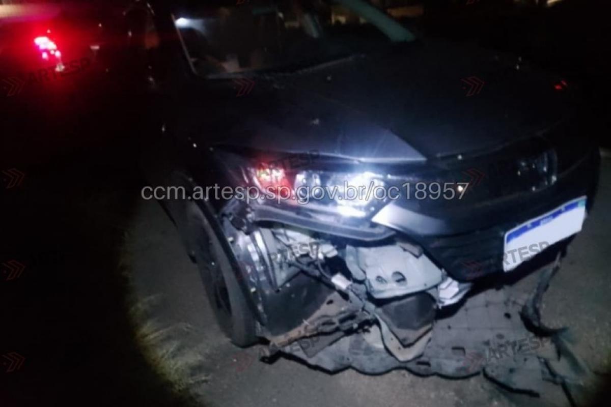 Atropelamento aconteceu quilômetro 270 da rodovia Marechal Rondon