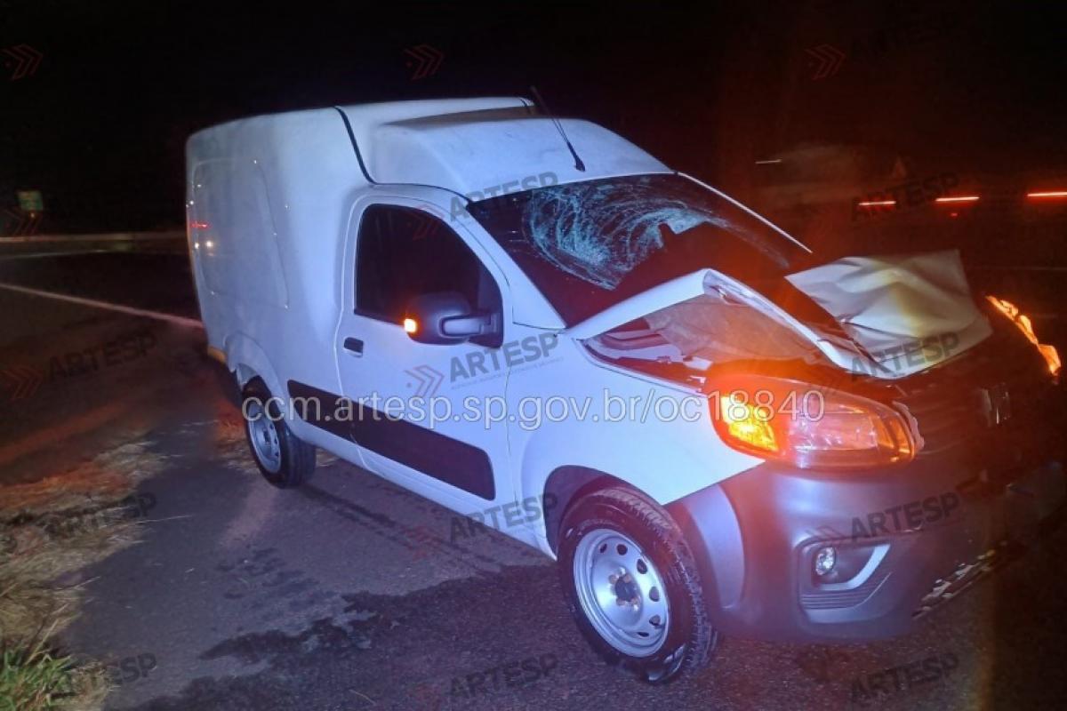 O impacto foi tão violento que a frente do veículo ficou bastante danificada