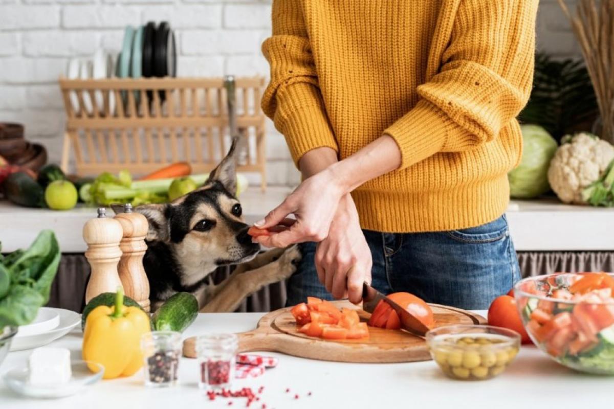 Chocolate é um veneno para esses animais de estimação, além de uvas/passas, cebola, alho, xilitol (adoçante), café, álcool, abacate e macadâmia