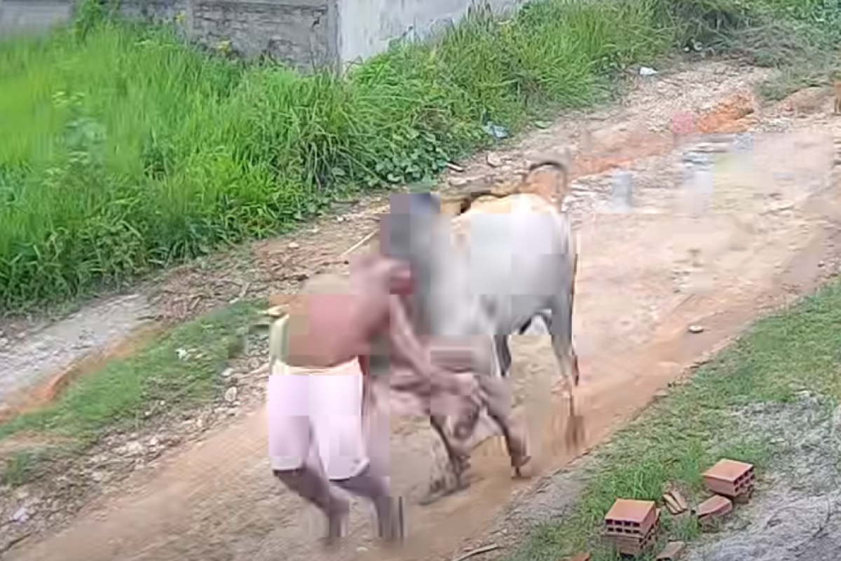 A cena foi registrada por câmera de segurança.