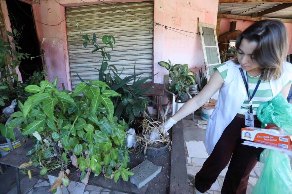 Novo alerta da Saúde aponta áreas com maior risco de transmissão e reforça combate ao Aedes aegypti.