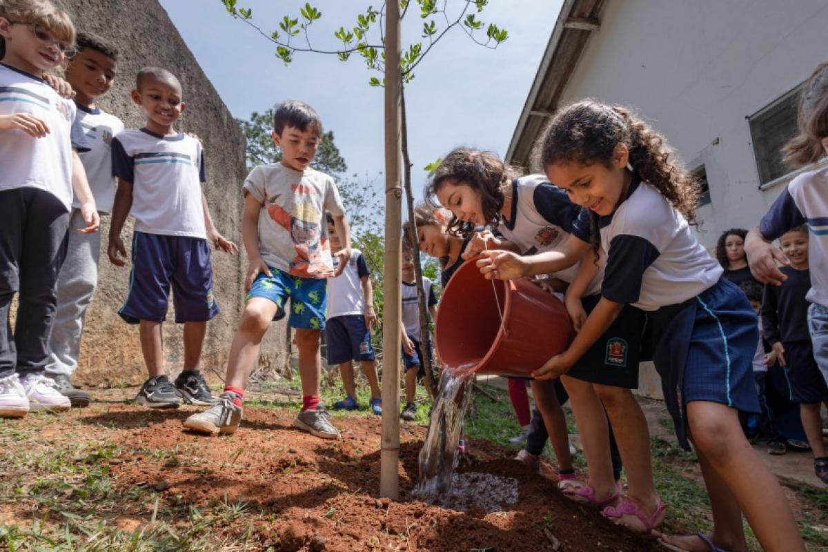 A iniciativa envolve os alunos desde a produção das mudas, cultivadas a partir de sementes de espécies nativas da Mata Atlântica e do Cerrado, até o plantio, promovendo educação ambiental na prática